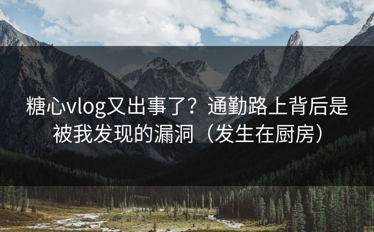 糖心vlog又出事了？通勤路上背后是被我发现的漏洞（发生在厨房）