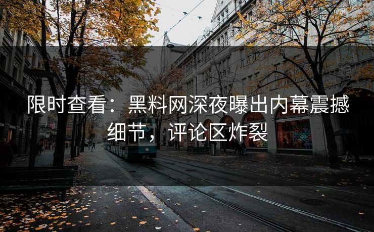 限时查看：黑料网深夜曝出内幕震撼细节，评论区炸裂