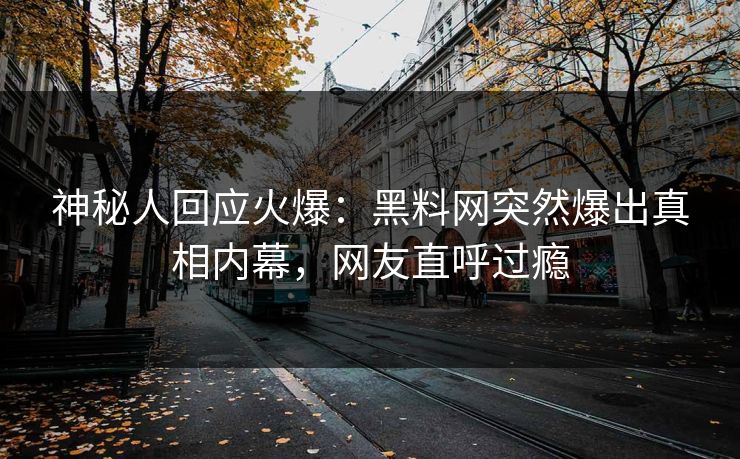 神秘人回应火爆：黑料网突然爆出真相内幕，网友直呼过瘾