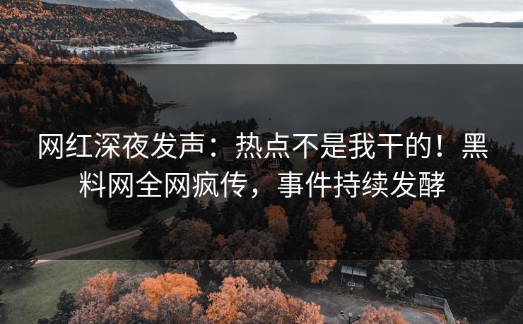 网红深夜发声：热点不是我干的！黑料网全网疯传，事件持续发酵