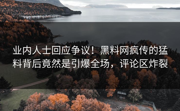 业内人士回应争议！黑料网疯传的猛料背后竟然是引爆全场，评论区炸裂