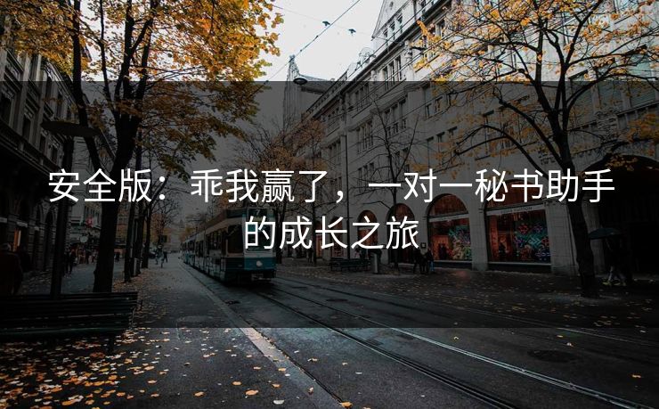 安全版：乖我赢了，一对一秘书助手的成长之旅