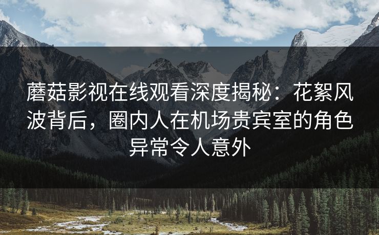 蘑菇影视在线观看深度揭秘：花絮风波背后，圈内人在机场贵宾室的角色异常令人意外