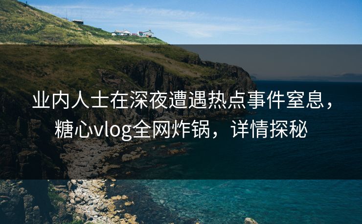 业内人士在深夜遭遇热点事件窒息,糖心vlog全网炸锅,详情探秘 业内人士在深夜遭遇热点事件窒息,糖心vlog全网炸锅,详情探秘